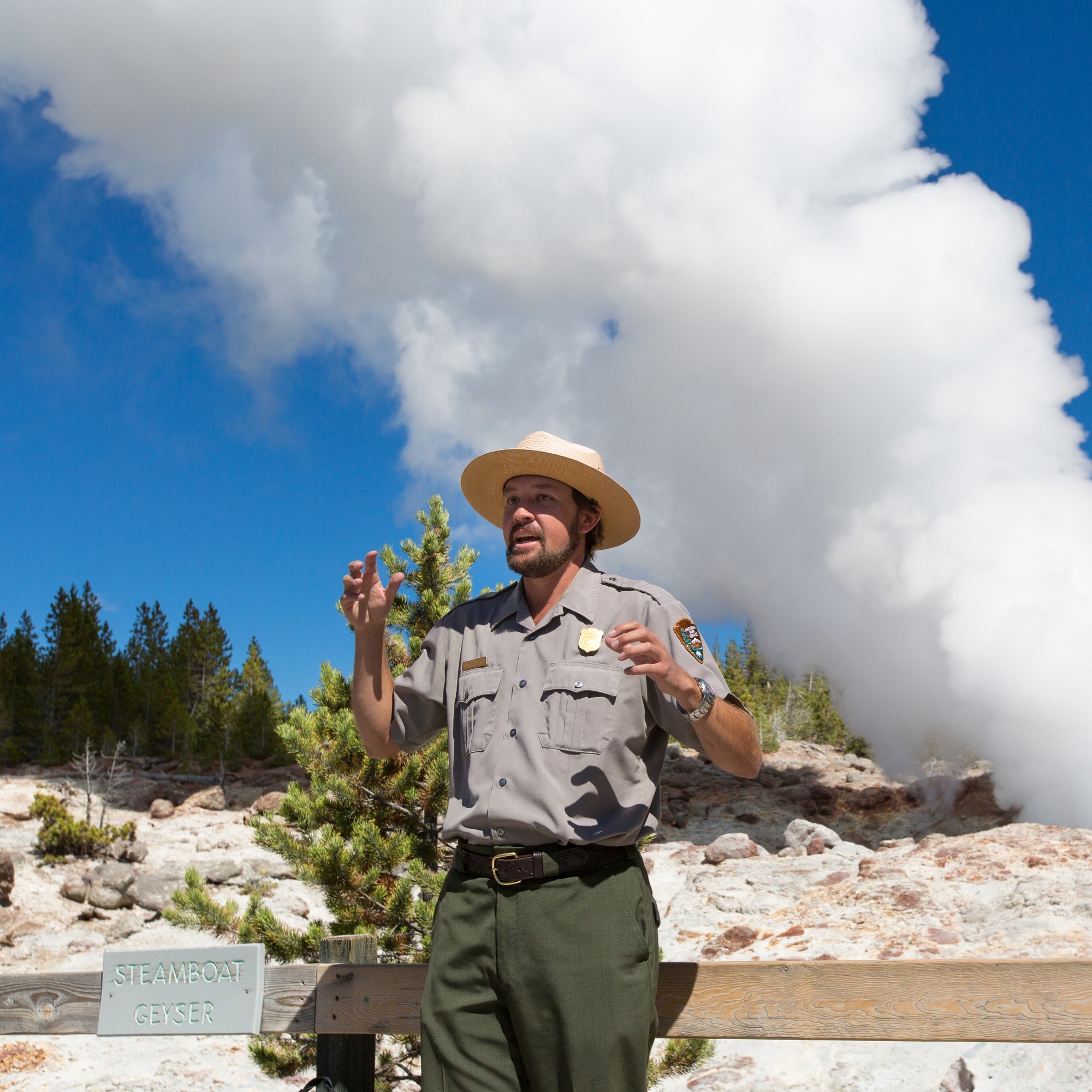 DOI_NPS1